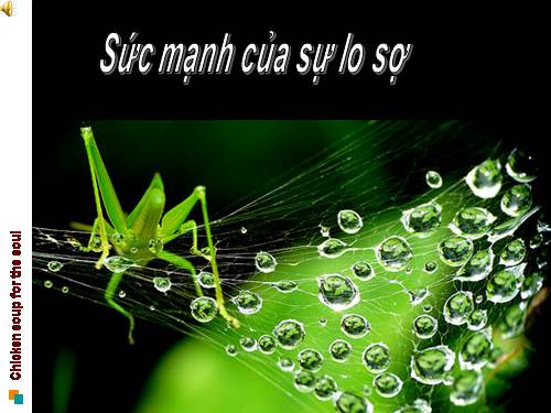 Sức mạnh của sự lo lắng