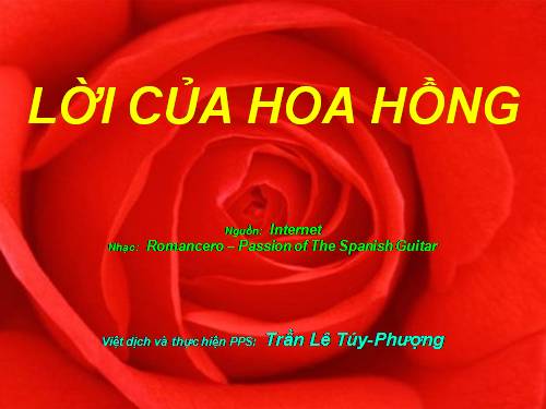 Lời của hoa Hồng