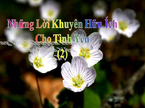 Lời khuyên hữu ích cho một tình yêu