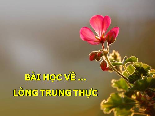 Lòng trung thực