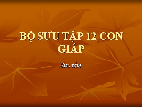 12 CON GIAP