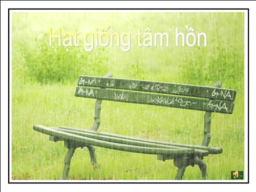 Hạt giống tâm hồn