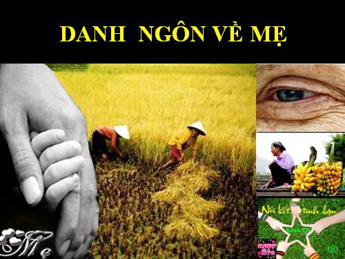 Danh ngôn hay về Mẹ