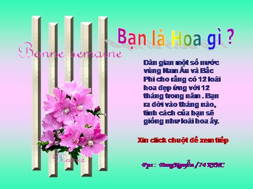 bạn là hoa gì