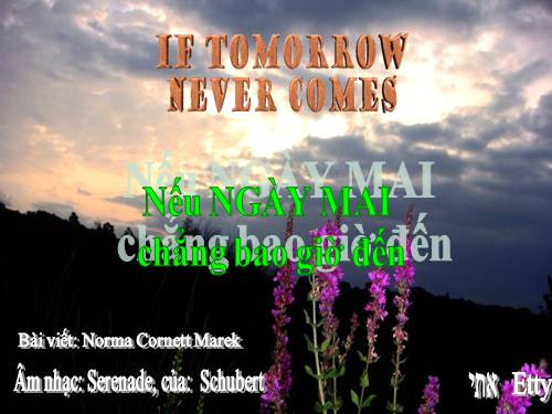 Nếu ngày mai chẳng bao giờ đến