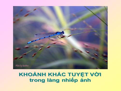 Khoảnh khắc tuyệt vời