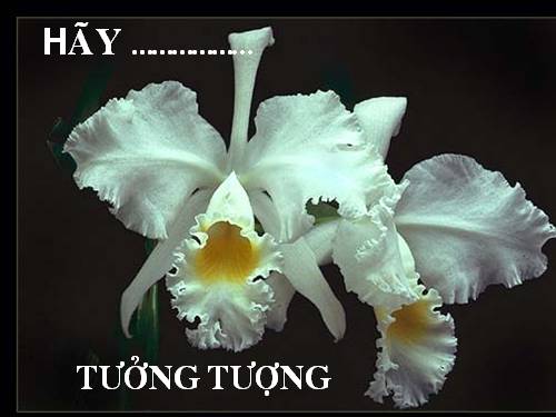 Hãy tưởng tượng