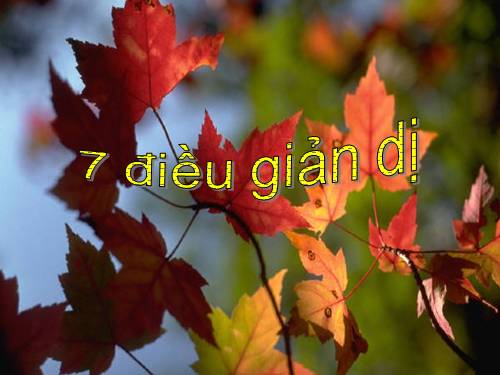 7 điêu giản dị