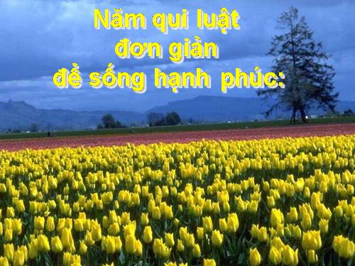 Năm quy luật đơn giản để sống hạnh phúc