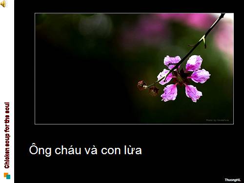 Chuyện hai ông cháu và con lừa