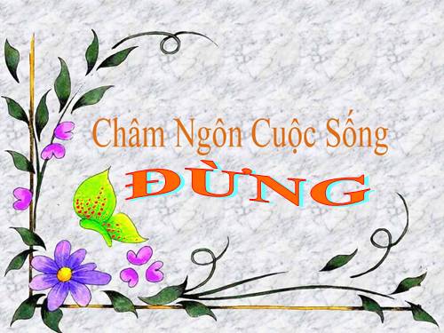 Châm ngôn cuộc sống