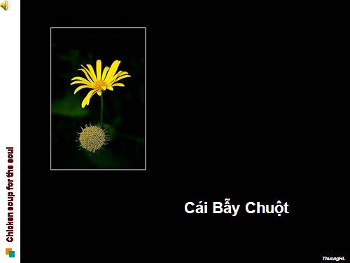 Cái bẫy chuột