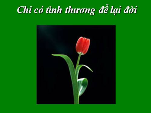 Chỉ có tình yêu thương để lại đời