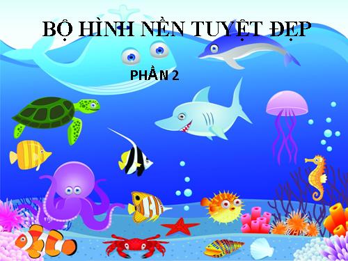 Bộ hình nền đẹp 2