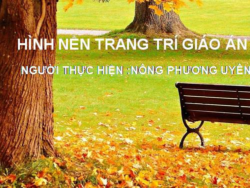 Hình nền giáo án điện tử