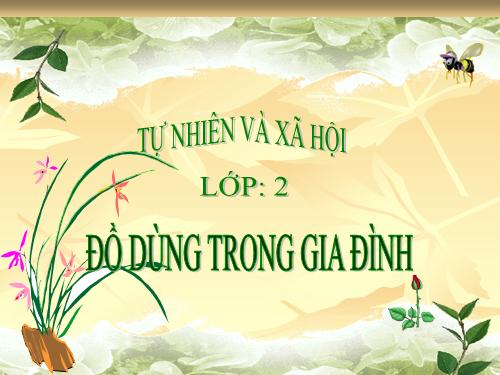 do dung trong gia dinh