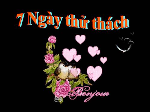 7 ngày thử thách