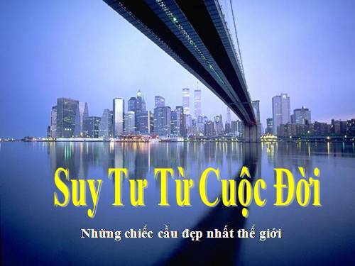 Suy tư từ cuộc đời