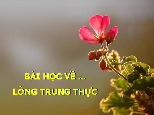 Lòng trung thực