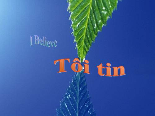 Tôi tin