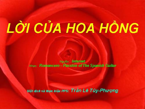 Lời của hoa hồng