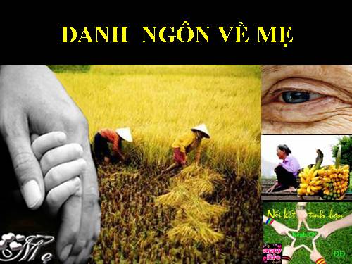 Danh ngôn về Mẹ