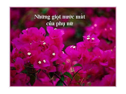 hop mat truyen thong 20/10