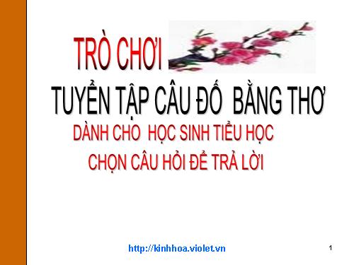 cau hoi