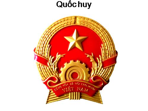 LOGO_BIEU_TUONG_DEP