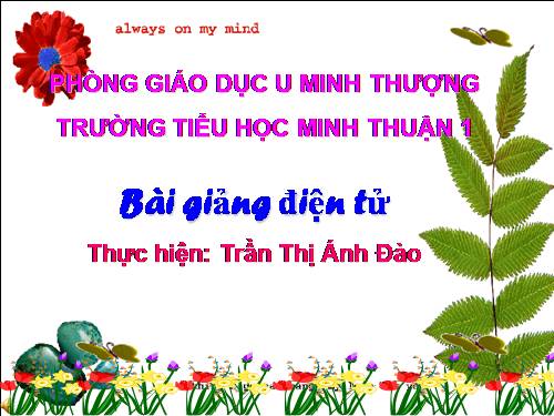 linh su cac ky Euro