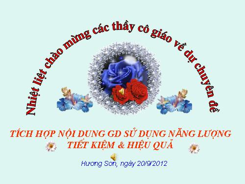 Bài giảng chuyên đề SDNLTK&HQ các môn 2012