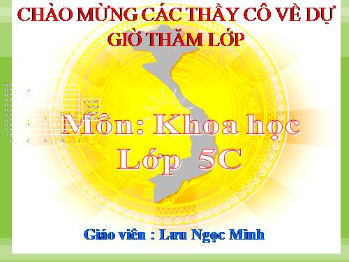 phòng tránh bi xam hại