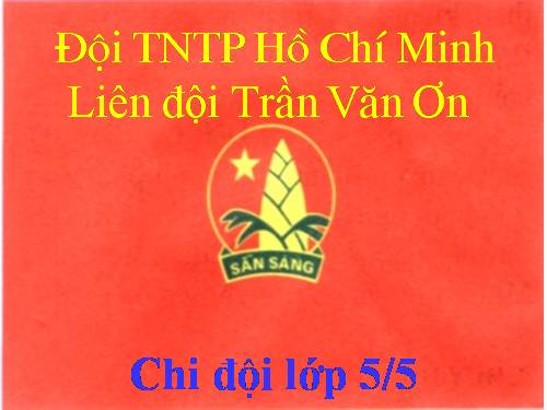 ĐẠI HỘI CHI ĐỘI