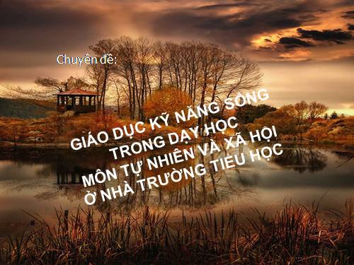 Chuyên đề: Giáo dục kỹ năng sống trong môn TN-XH