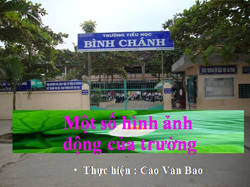 Một số hình ảnh hoạt động của trường TH Bình chánh