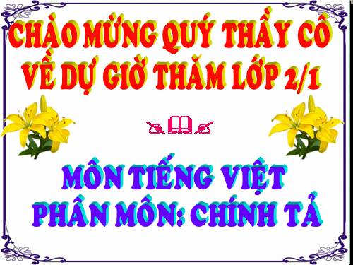 chinh ta 2  vi sao ca khong biet noi