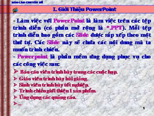 BÁO CÁO CHUYÊN ĐỀ SỬ DỤNG POWERPOINT