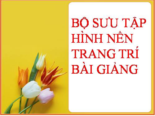 HÌNH NỀN TRANG TRÍ BÀI GIẢNG