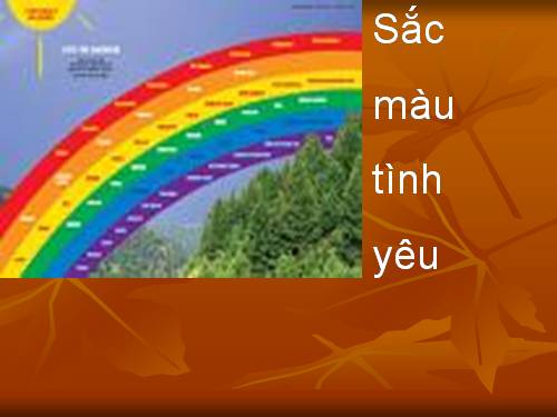 SAC MAU TINH YEU