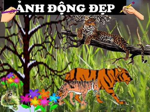 ANH DONG DEP