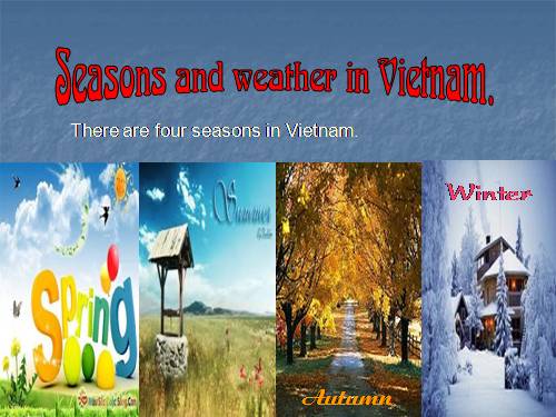 weather in four seasons