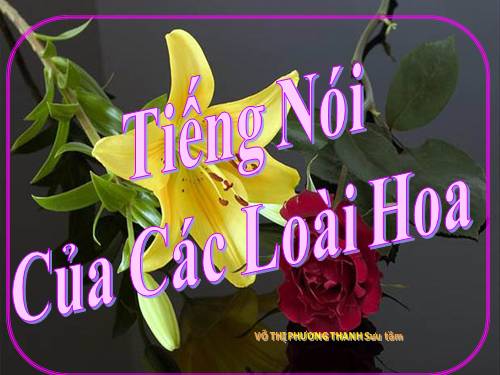 BO SUU TAP CAC LOAI HOA