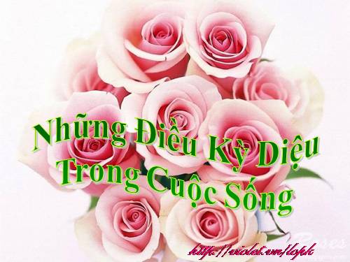 NHỮNG ĐIỀU KÌ DIỆU CỦA CUỘC SỐNG- CÓ NHẠC NỀN PHỤ  HỌA