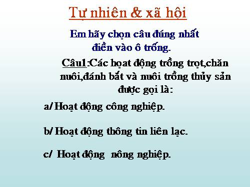 ÔN TẬP MÔN  LỚP 3