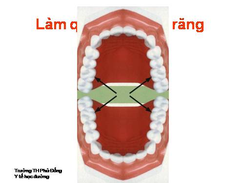 Làm quen với hàm răng