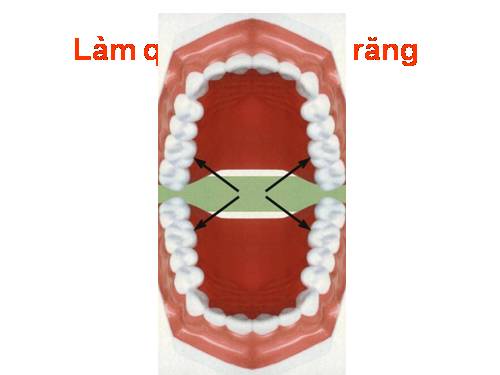 Làm quen với hàm răng