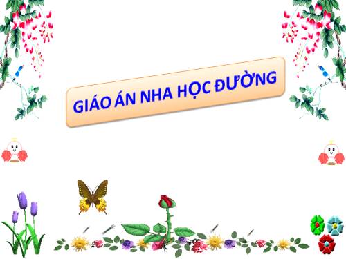 NHA HOC DUONG