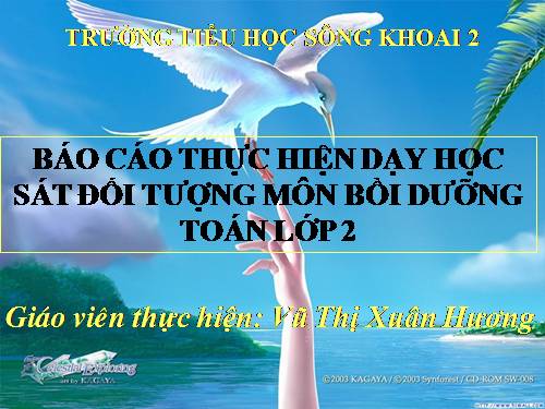 bao caoday hoc sat doi tuong  mon  toan lop 2 buoi 2