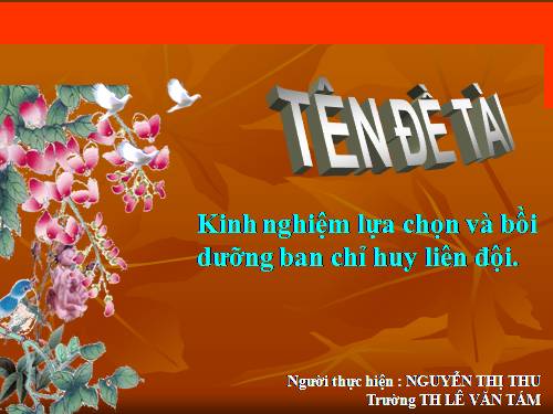 SÁNG KIẾN KINH NGHIỆM ĐỘI TNTP