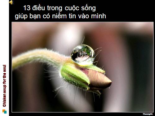 Ý NGHIA VỀ CUỘC SỐNG